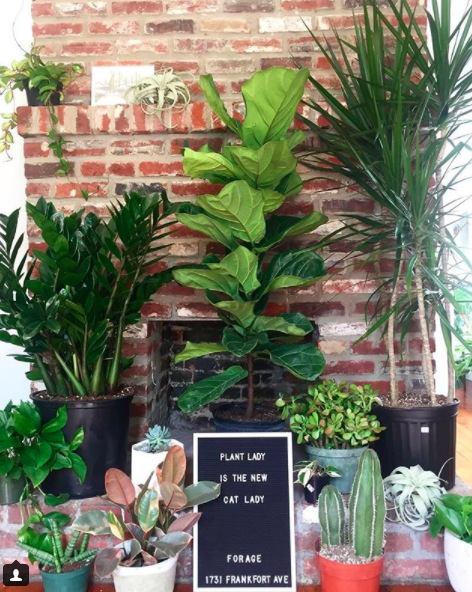 Screen Shot 2018-01-04 at 3.56.41 PM