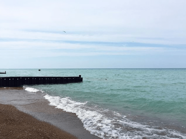 Screen Shot 2018-01-04 at 4.02.42 PM